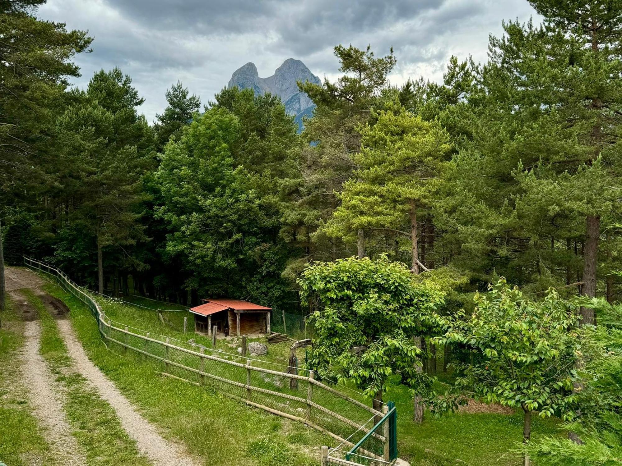 Вілла Cal Roig - Pedraforca Салдас Екстер'єр фото